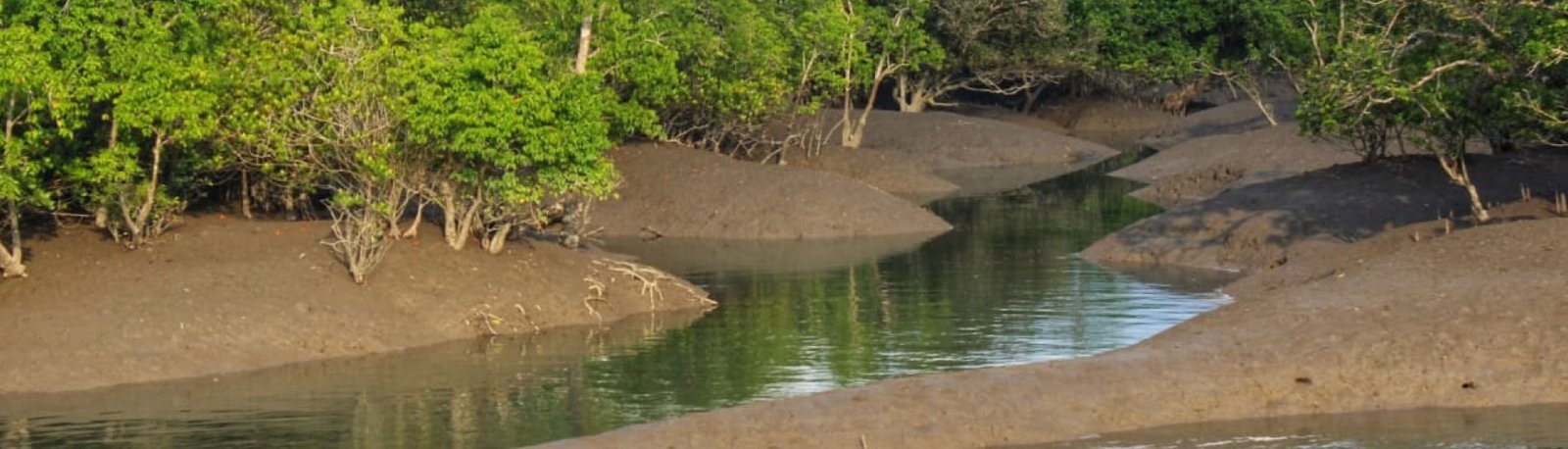 Sundarban Tourism