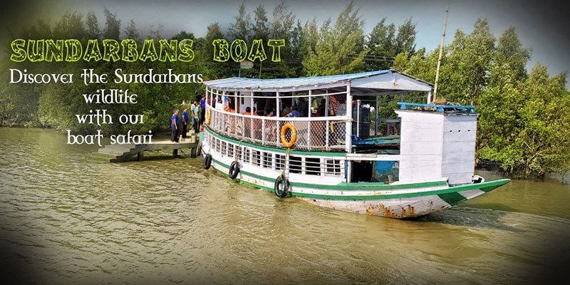 Read more about the article Sundarban Exclusive Tour from Godkhali