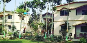 Read more about the article Luxury Stay at Sunderban