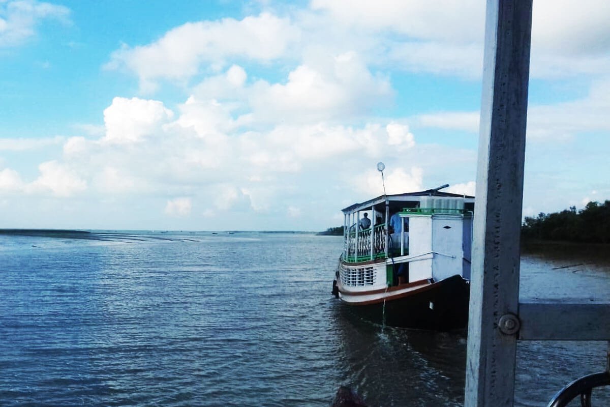 Sundarban tours: 8 best reasons to visit Sundarban during the winter season