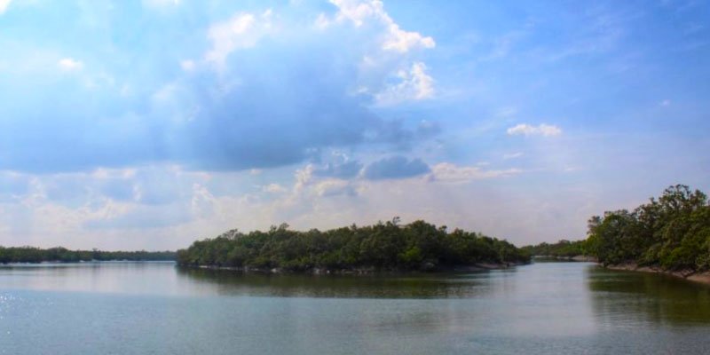 Sundarban