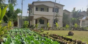 Read more about the article SUNDARBAN STAY