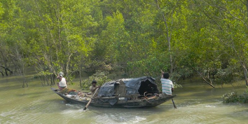 Read more about the article Sundarban Exotic Tour