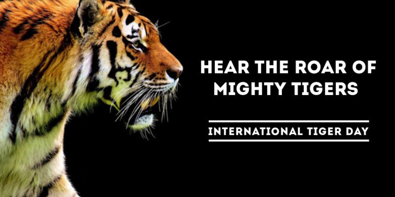 Read more about the article International Tiger Day
