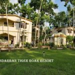 Sundarban Luxury Tour: Unmatched comfort & entertainment