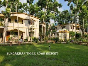 Read more about the article Let’s go to Sundarban:  make Sundarban Tiger Roar Resort your travel partner