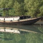 The nitty-gritty of planning a safe and exciting Sundarban Trip