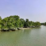 Sundarban Visit from Kolkata: How to find the best out of many options