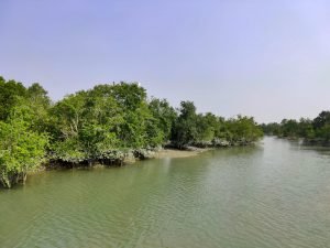 Durga Puja Holidays in Sundarban