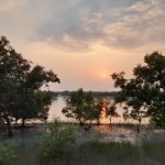 Sundarban trip: Why is it important to book a resort in Sundarban?