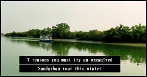 7 reasons you must try an organized Sundarban tour this winter