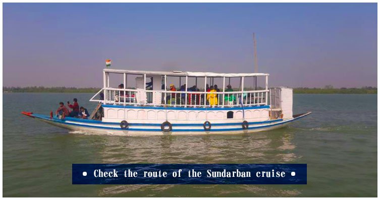 Sundarban Crusie
