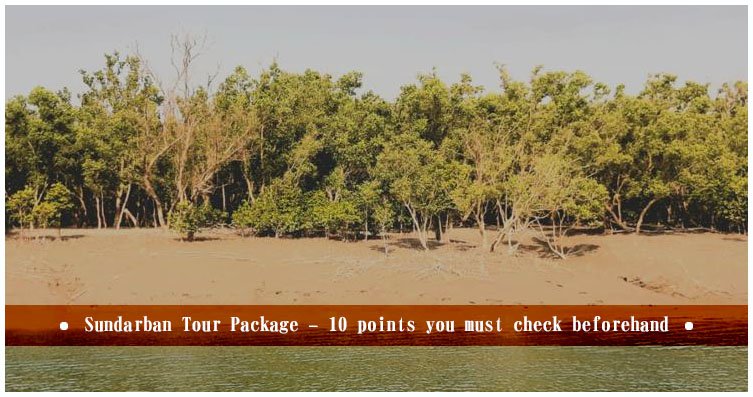 Read more about the article Sundarban tour package – 10 points you must check beforehand