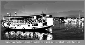 Read more about the article Sundarban Package tour: 7 points you must not overlook while booking