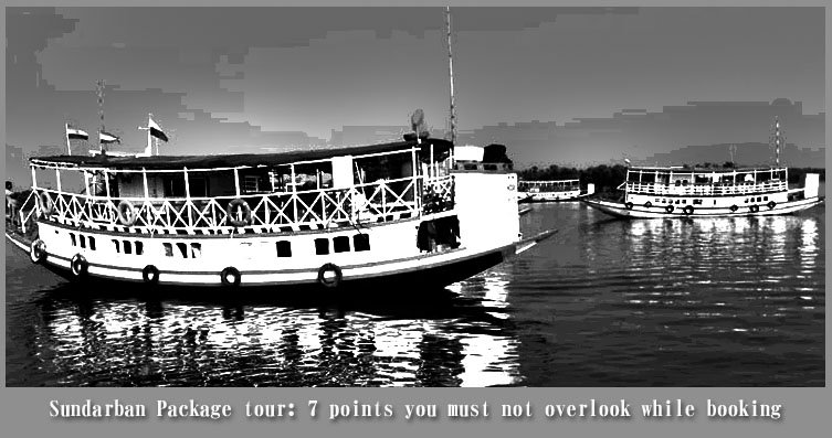 You are currently viewing Sundarban Package tour: 7 points you must not overlook while booking