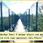 Sundarban Tour: 8 unique places you may check with tour operators this winter