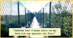 Sundarban Tour: 8 unique places you may check with tour operators this winter