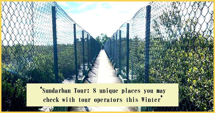 You are currently viewing Sundarban Tour: 8 unique places you may check with tour operators this winter