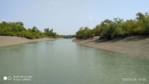 Read more about the article Sundarban Travel guide: 7 tips you should not forget