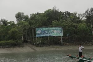 Sundarban tour: 8 mistakes you should avoid always