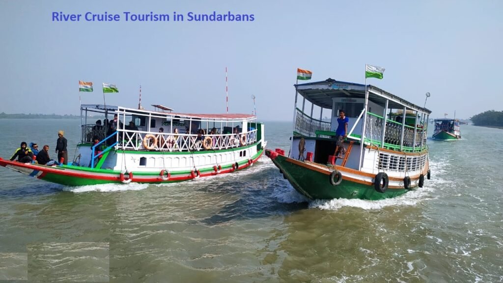 sundarban river cruise