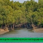 7 reasons to go for a Sundarbans Trip on your next Durga puja vacation