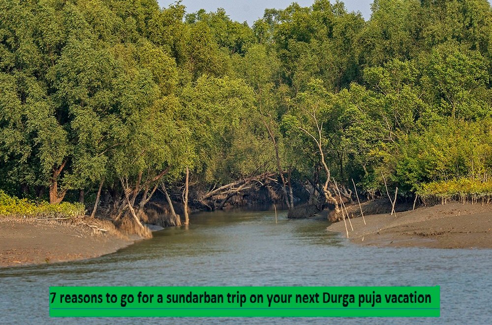 You are currently viewing 7 reasons to go for a Sundarbans Trip on your next Durga puja vacation
