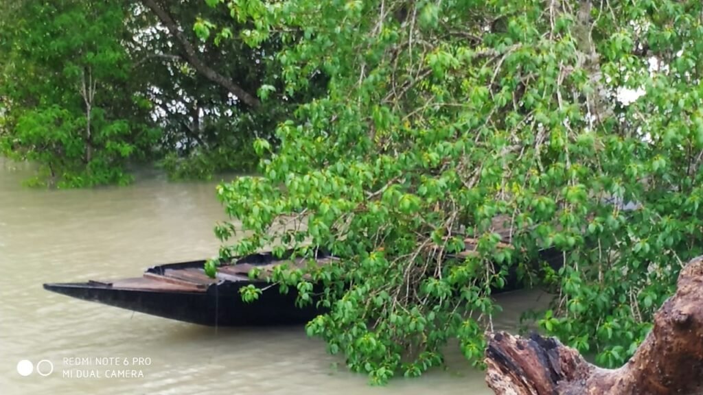 Sundarban Travel Blog-Mangrove Forest