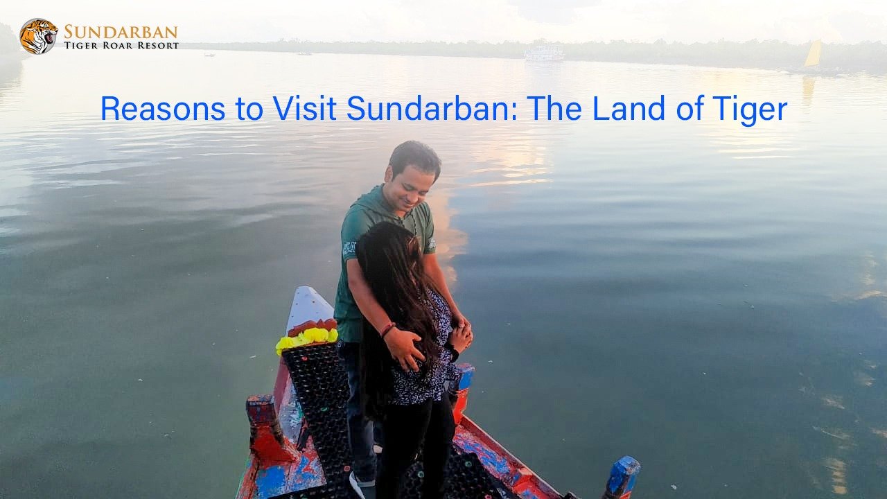 You are currently viewing Reasons to go for a Sundarban tour: The Land of Tiger