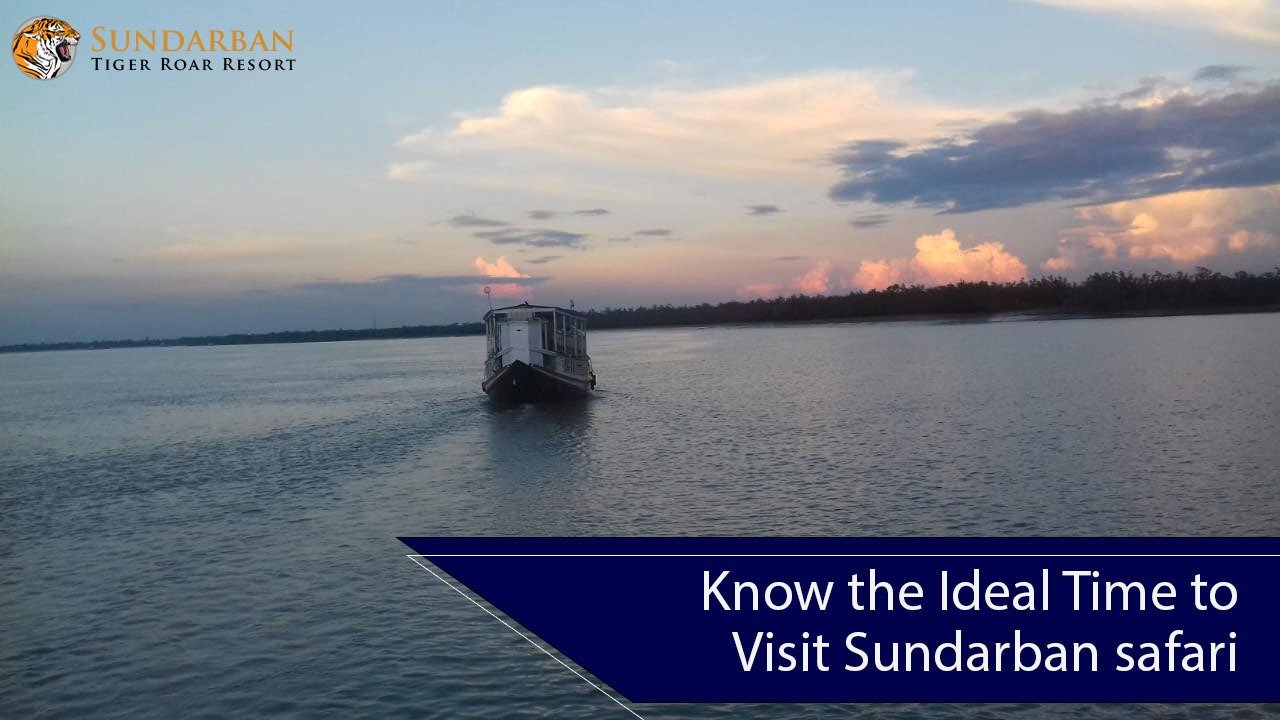 Read more about the article Know the Ideal Time to Visit Sundarban safari