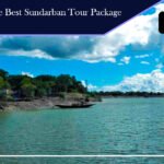 How to Choose the Best Sundarban Tour Package for this Winter?