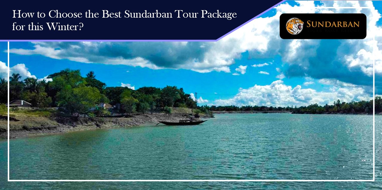 You are currently viewing How to Choose the Best Sundarban Tour Package for this Winter?