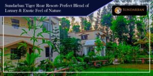 Read more about the article Sundarban Tiger Roar Resort-perfect blend of luxury & exotic feel of nature