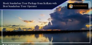 Read more about the article Book Sundarban Tour Package from Kolkata with Best Sundarban Tour Operator
