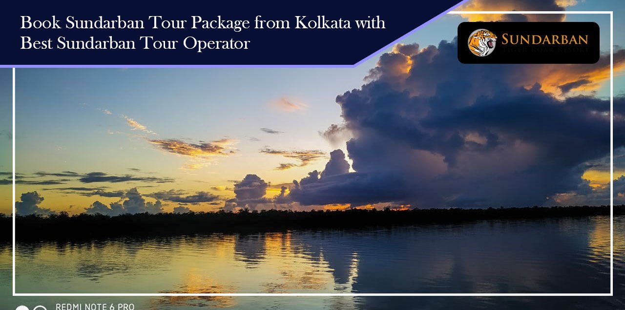 Read more about the article Sundarban Exclusive Tour Package from Kolkata