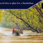 Sundarbans Travel