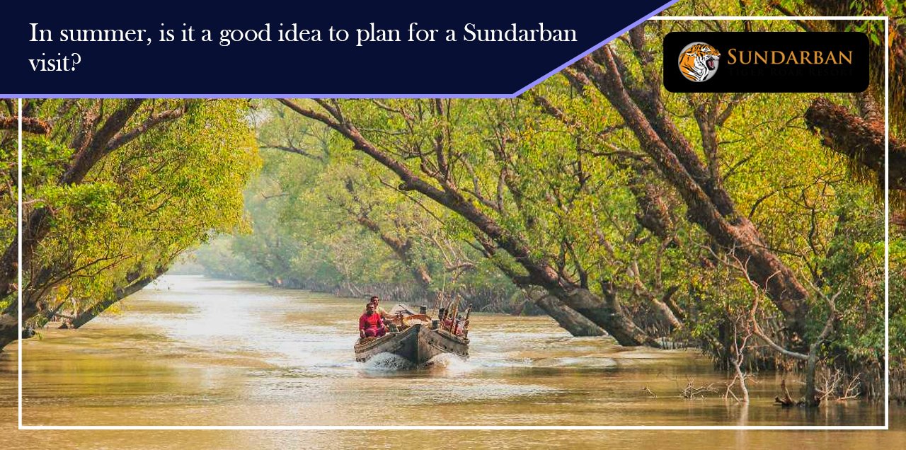 You are currently viewing Sundarbans Travel