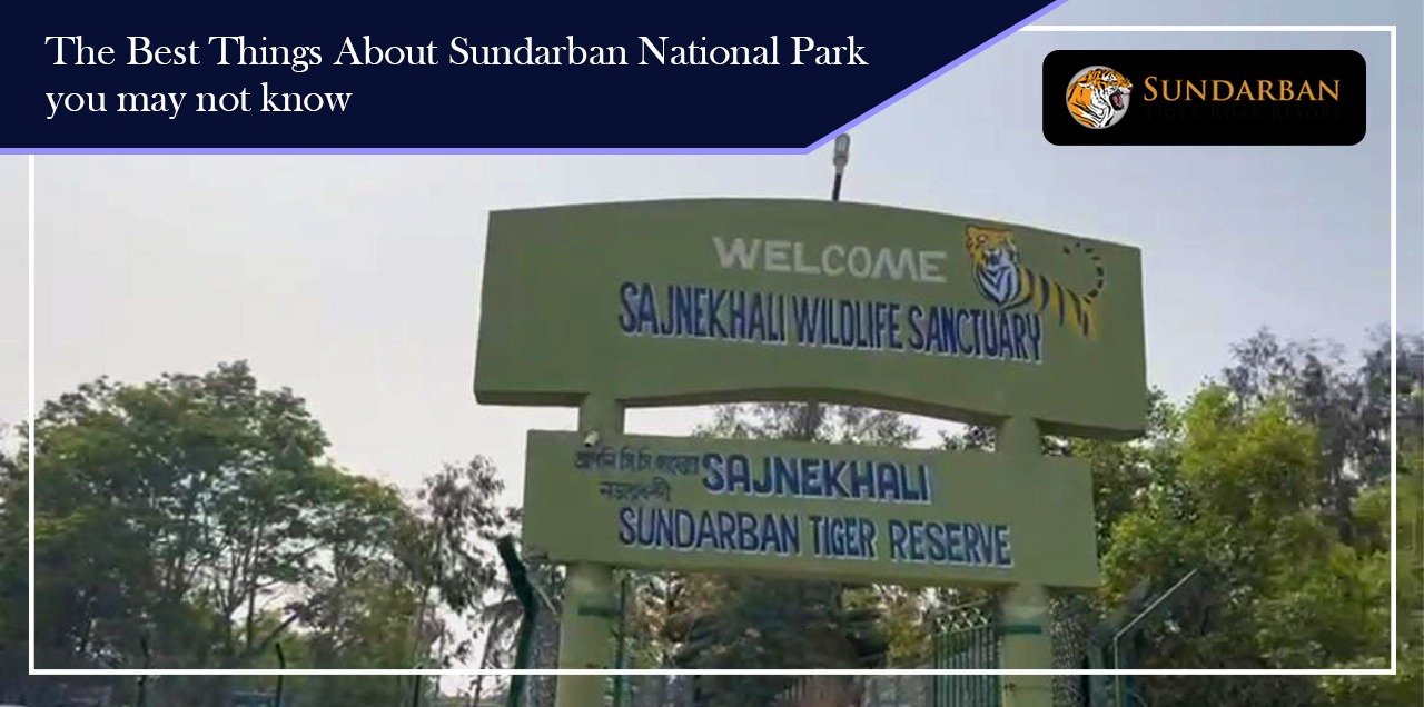 Read more about the article The Best Things About Sundarban National Park you may not know