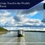 Sundarban weekend trip: Travel to the World’s Largest Mangrove Forest