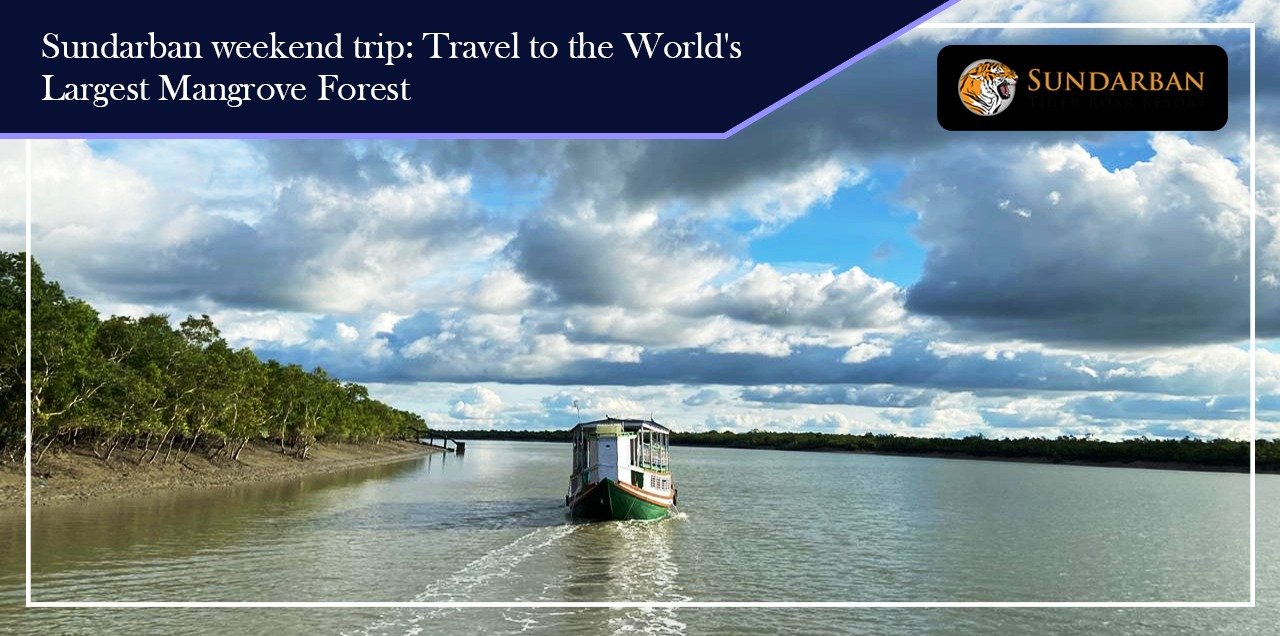You are currently viewing Sundarban weekend trip: Travel to the World’s Largest Mangrove Forest