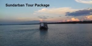 Read more about the article Sundarban Tour Package with Govt Authorized Tour Operator