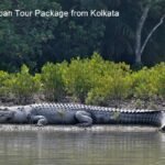 Sundarban Tour Package from Kolkata