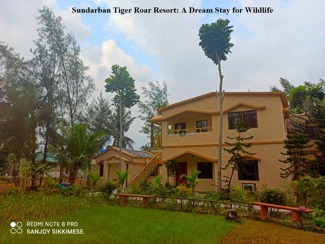 Read more about the article Sundarban Tiger Roar Resort: A Dream Stay for Wildlife Enthusiasts