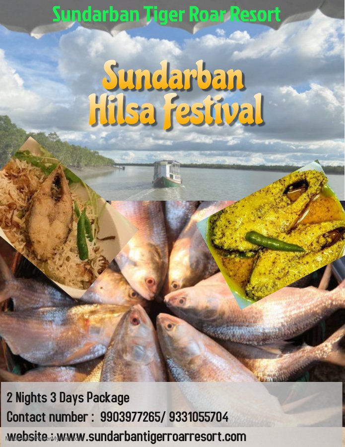 Sundarban Hilsa Festival 2024