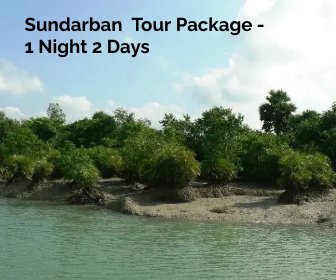 Read more about the article Sundarban Tour Package 1 Night 2 Days