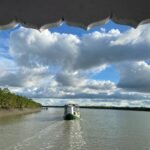 Sundarban Tour : 10 reasons to book a Sundarban tour package