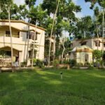 Sundarban Tiger Roar Resort: A Dream Stay for Wildlife Enthusiasts
