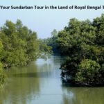 Book Your Sundarban Tour in the Land of Royal Bengal Tiger