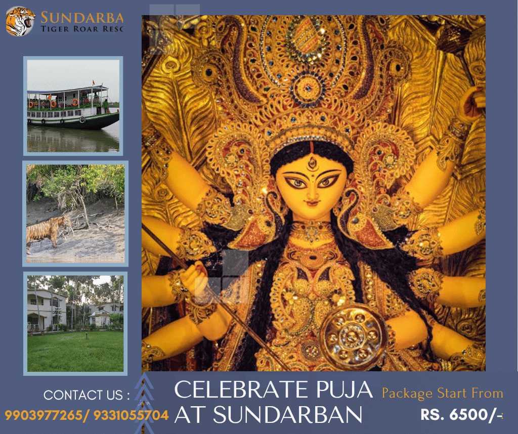 Read more about the article Durga Puja mangrove tour Sundarban 2025: Exclusive Package from Kolkata