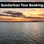 Sundarban Tour Booking :  Made Easy and Hassle-Free